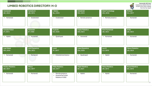 Mini Report: Humanoids 2025